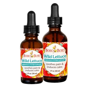 Wild Lettuce